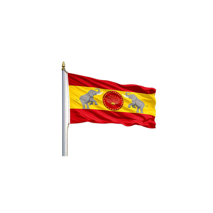 TVK Party Flag PNG – Tamilaga Vettri Kazhagam Flag